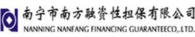 南宁市南方融资性担保有限公司